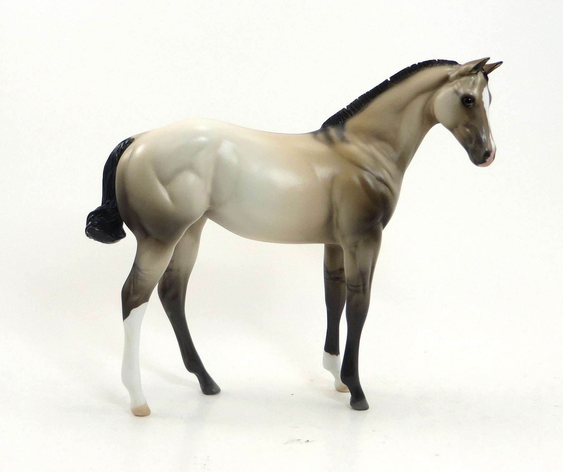 CLAVA CLUCK - OOAK Pale Buckskin Weanling 8/14