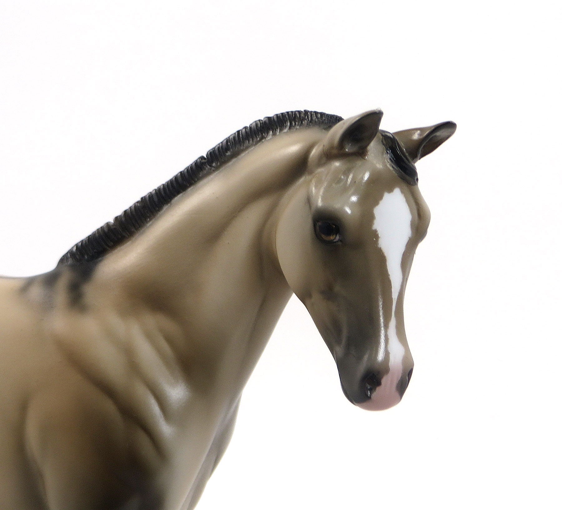 CLAVA CLUCK - OOAK Pale Buckskin Weanling 8/14