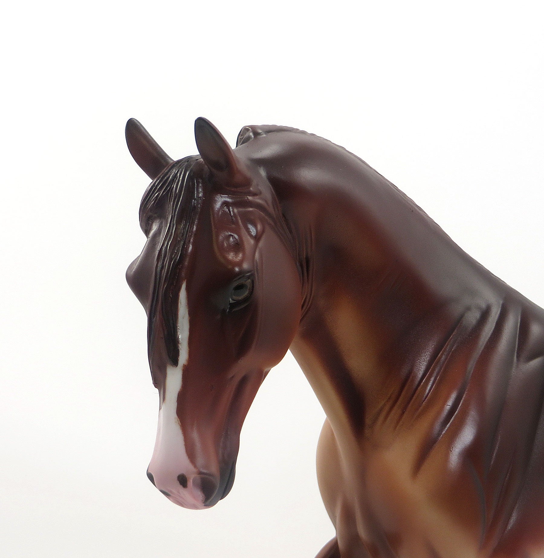 PHAR FIGNEWTON- OOAK Dappled Chestnut Tennessee Walker 8/14