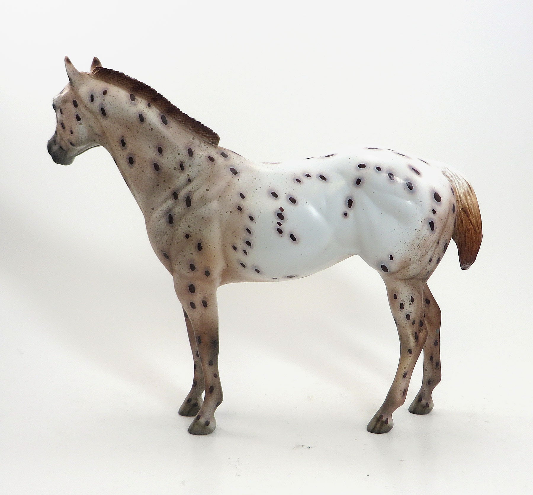 FIRE WITCH - OOAK Chestnut Appaloosa Stock Horse Mare 8/14