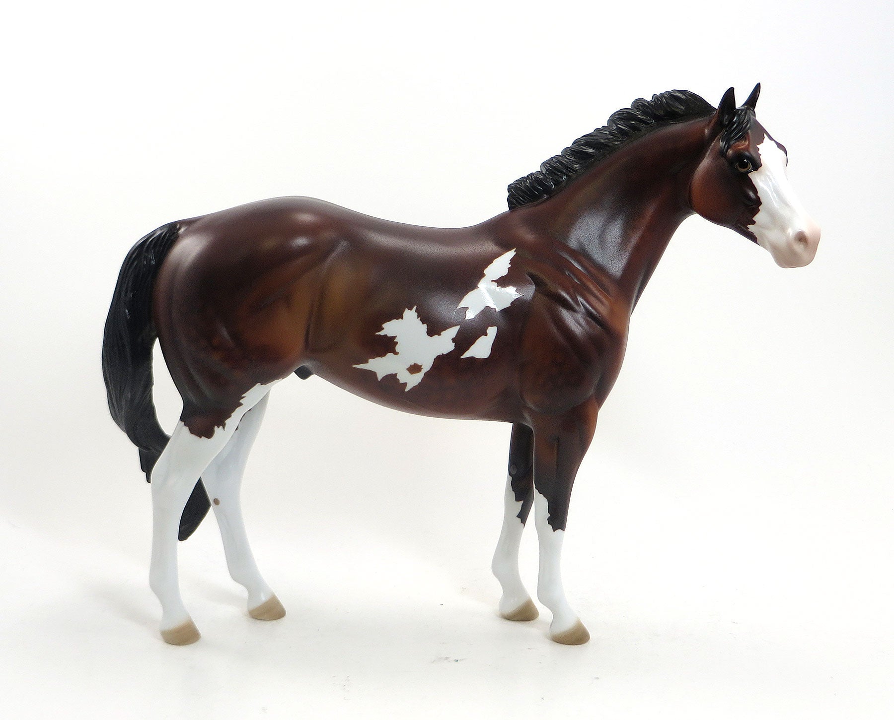 WAKKO WARNER - LE8 Dapple Bay Paint Stock Horse 8/14