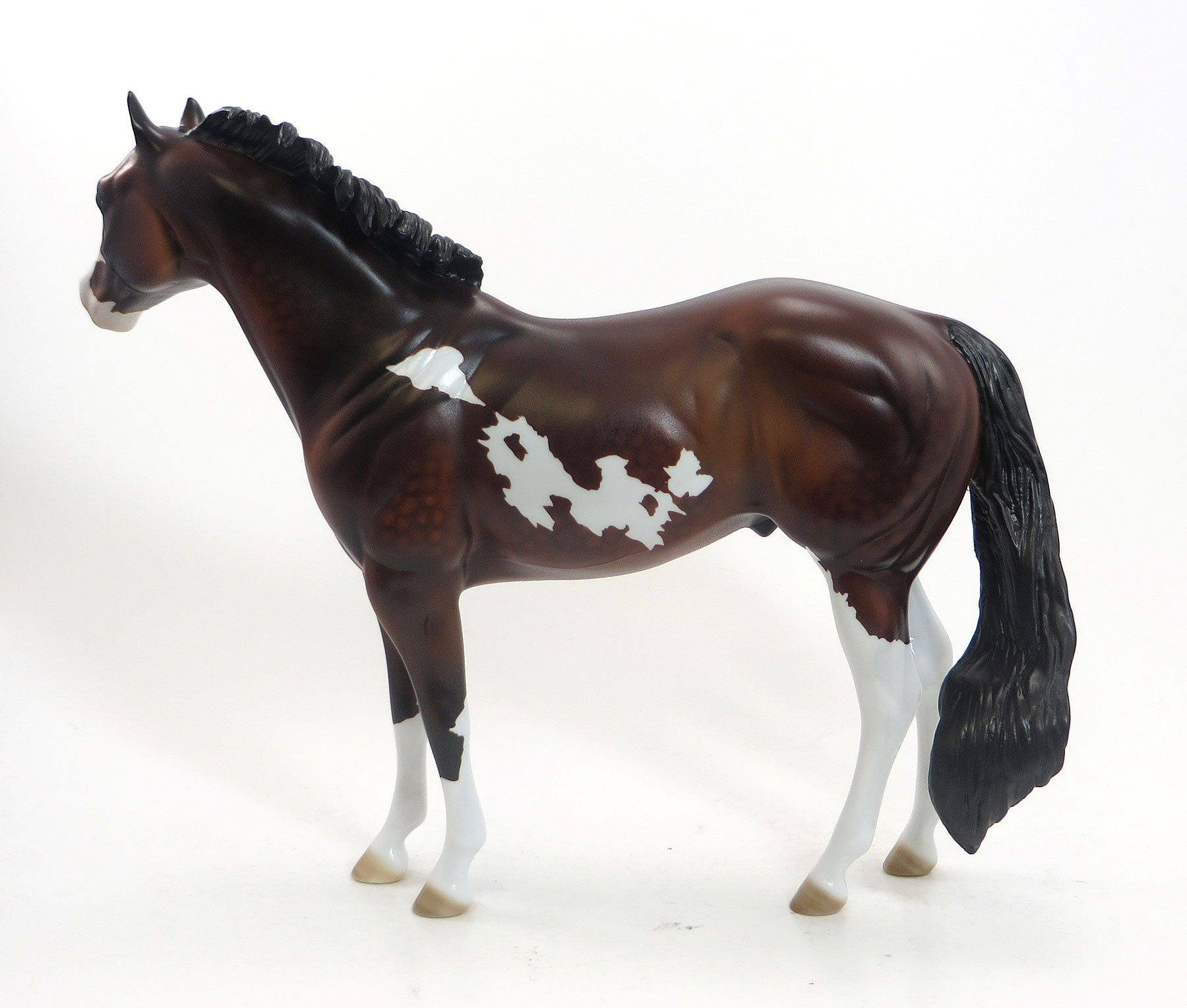 WAKKO WARNER - LE8 Dapple Bay Paint Stock Horse 8/14