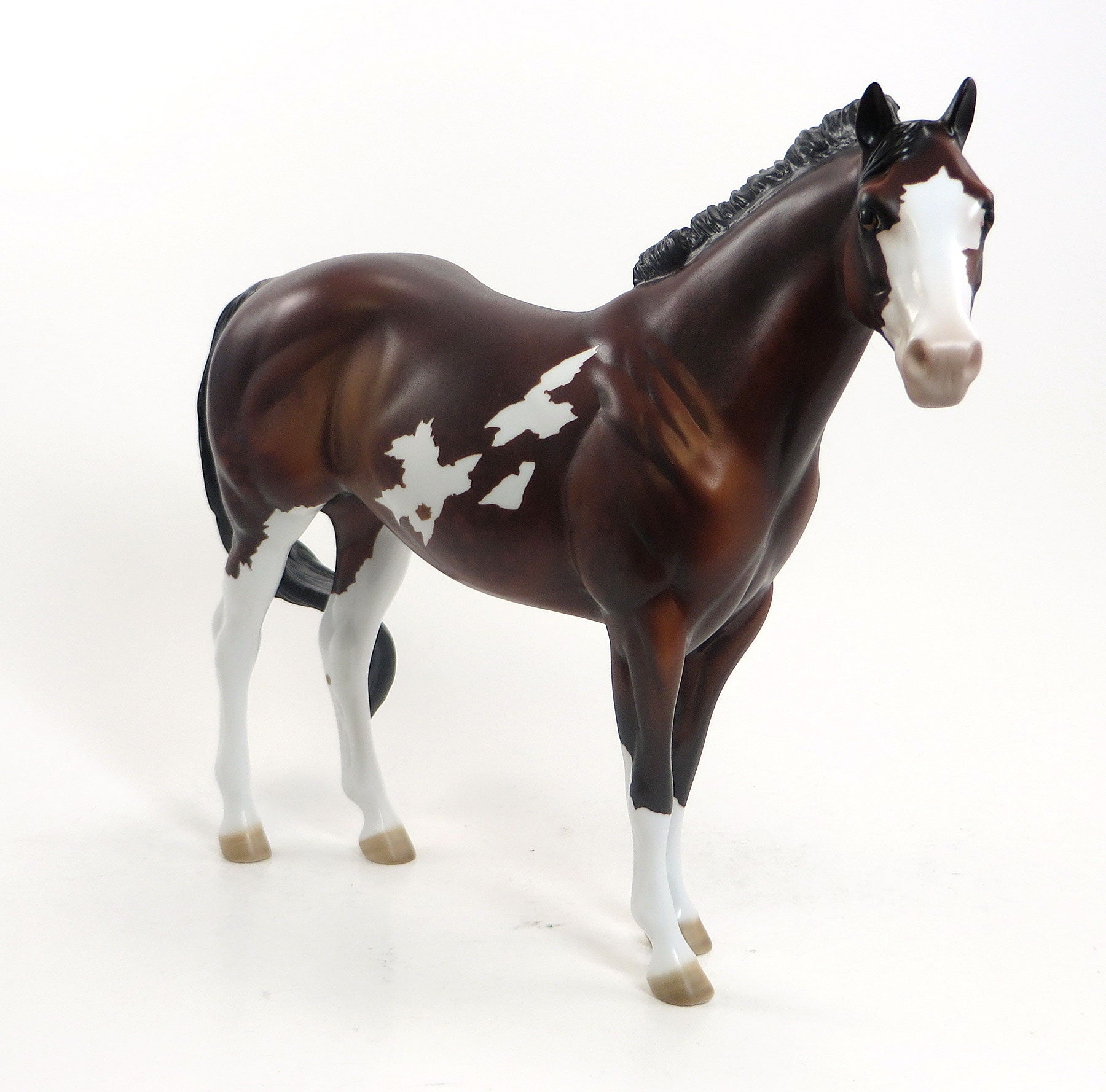 WAKKO WARNER - LE8 Dapple Bay Paint Stock Horse 8/14