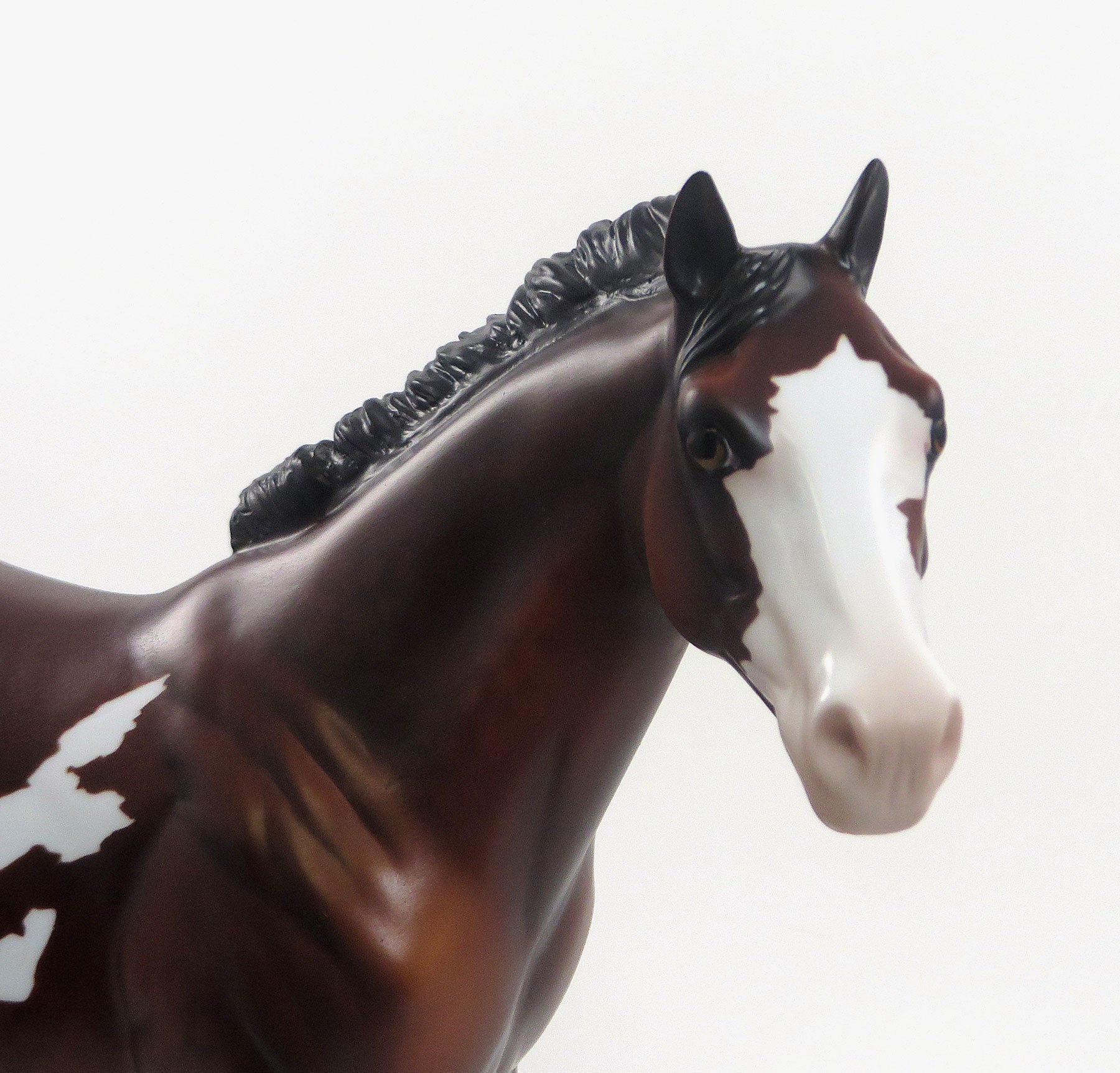 WAKKO WARNER - LE8 Dapple Bay Paint Stock Horse 8/14