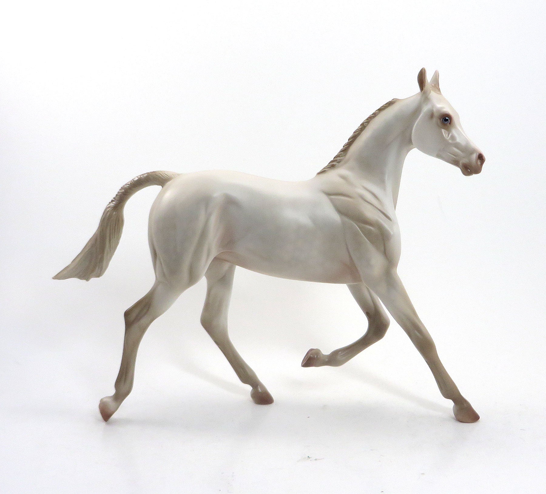 Pearlesque - LE6 Perlino Yearling 8/14