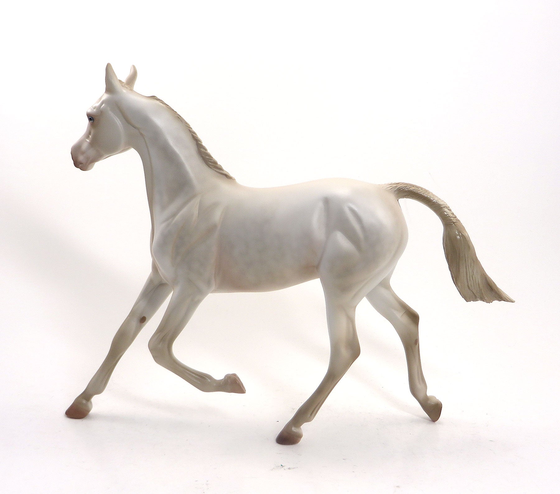 Pearlesque - LE6 Perlino Yearling 8/14