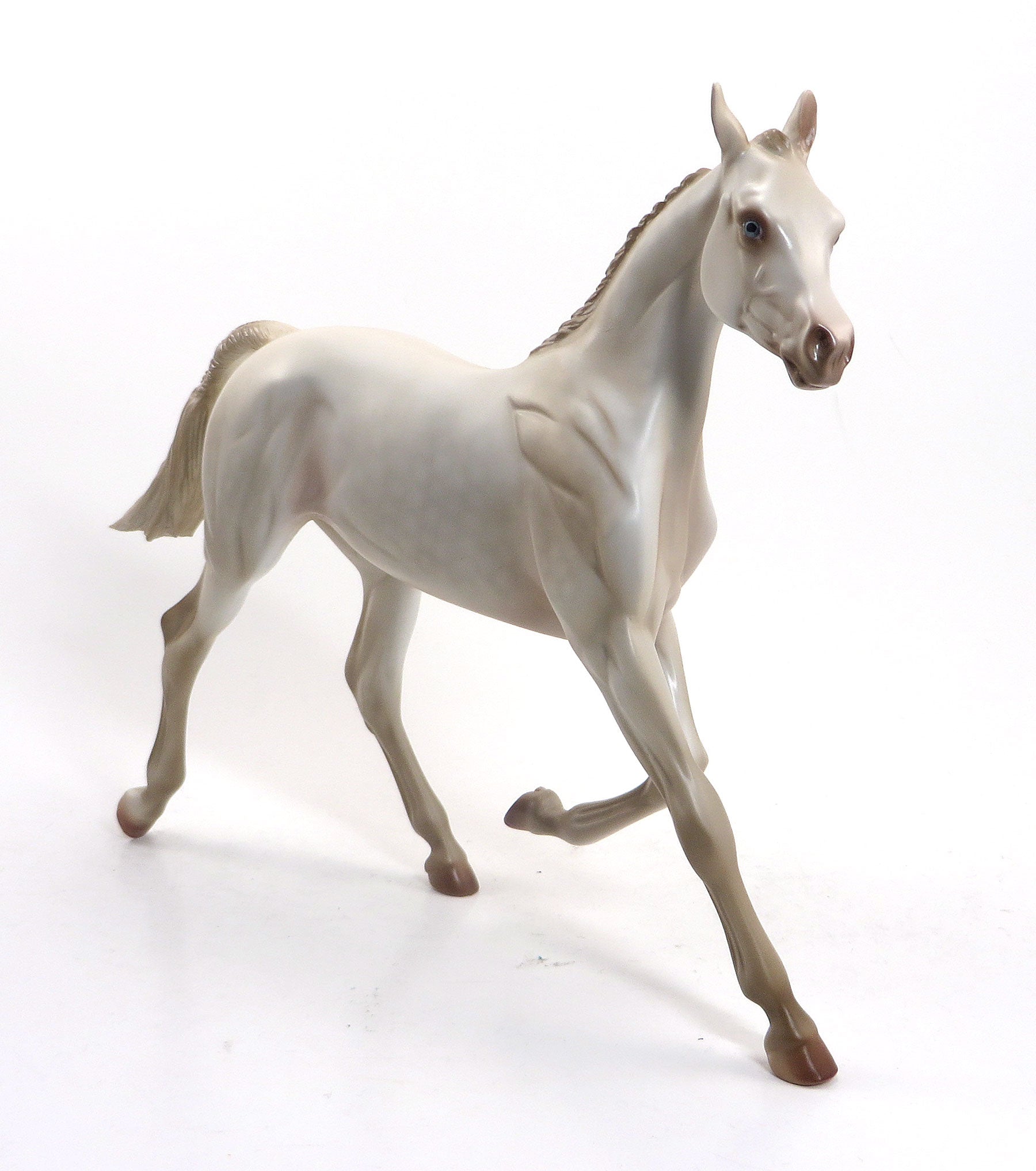 Pearlesque - LE6 Perlino Yearling 8/14