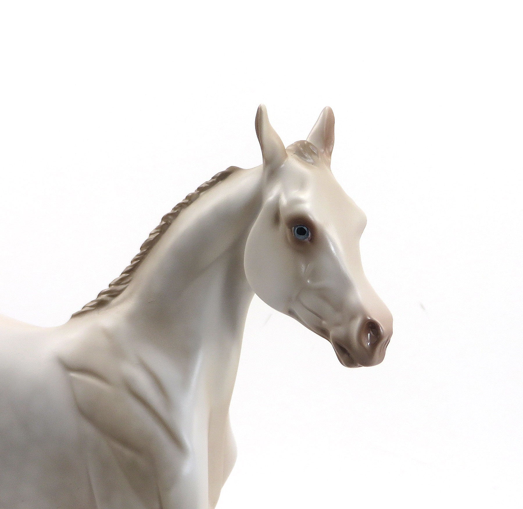 Pearlesque - LE6 Perlino Yearling 8/14