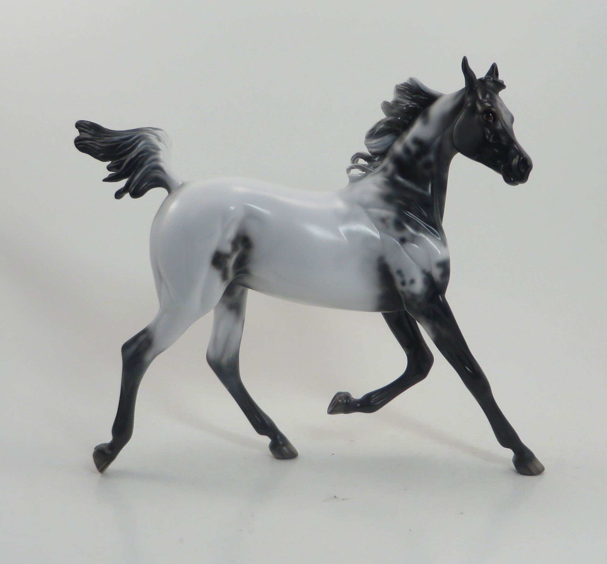 LUMPY SPACE - OOAK Few Spot Appaloosa Yearling 8/14