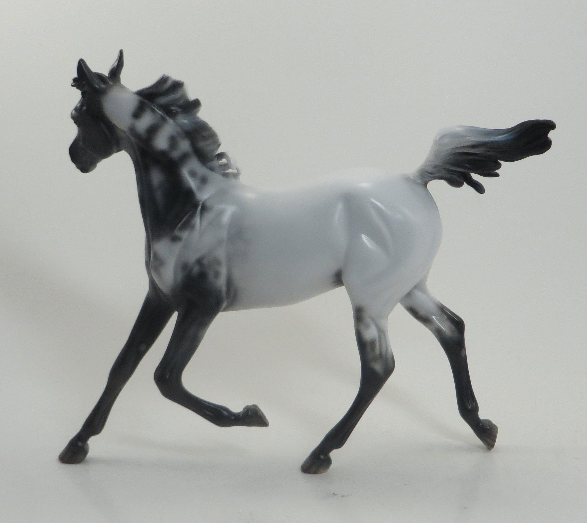 LUMPY SPACE - OOAK Few Spot Appaloosa Yearling 8/14