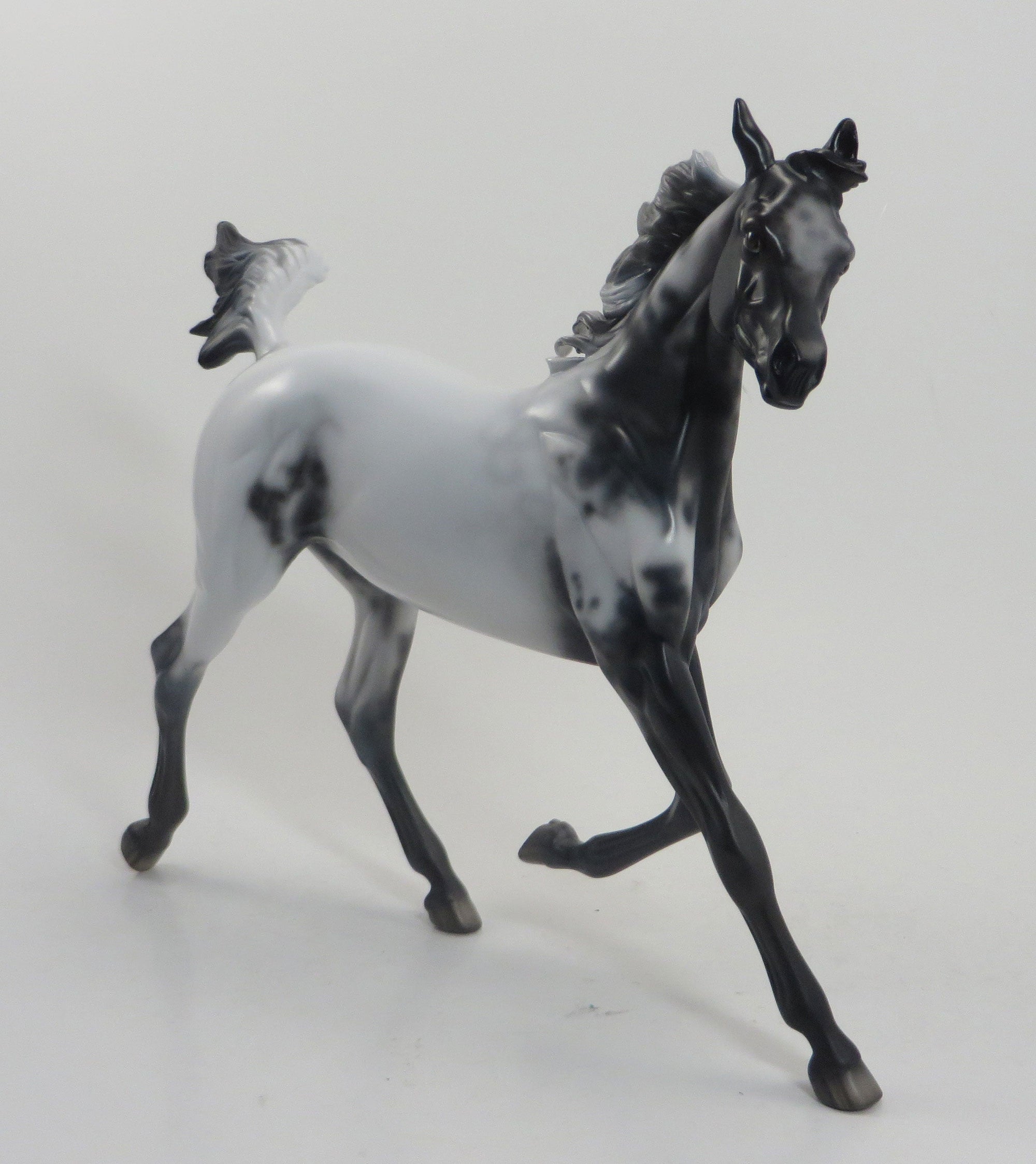 LUMPY SPACE - OOAK Few Spot Appaloosa Yearling 8/14