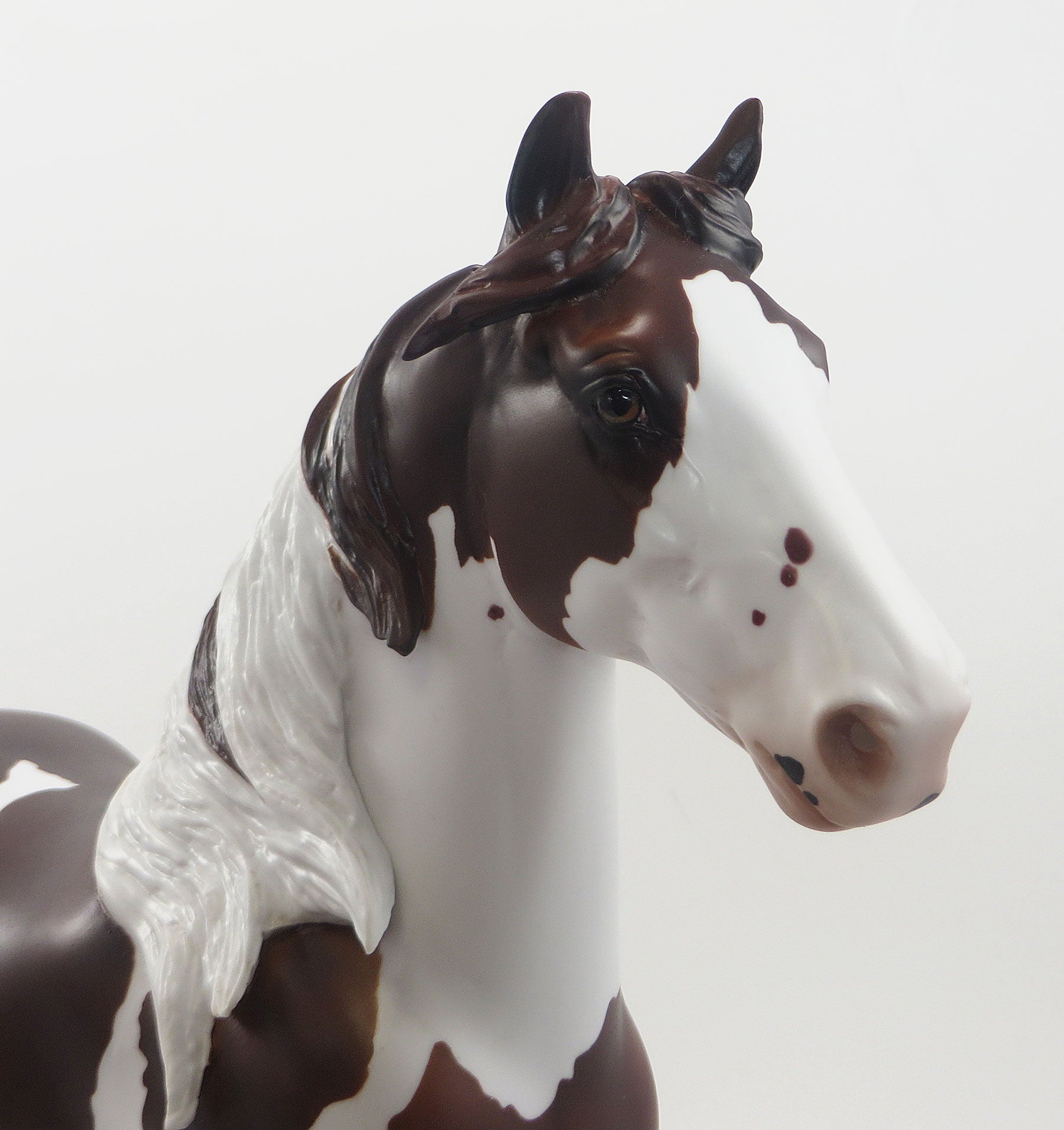 YUKON -  Dark Chestnut Pinto Gelding Trotting Drafter Model Horse - EQ 2015 - LE10 - 7/23