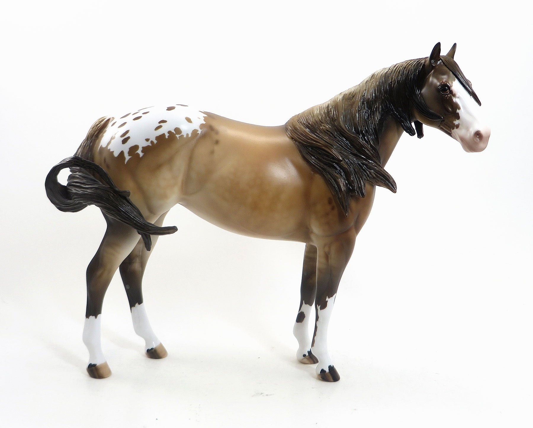 MARCELINE - OOAK Dappled Dun Blanket Appaloosa Mare  8/14