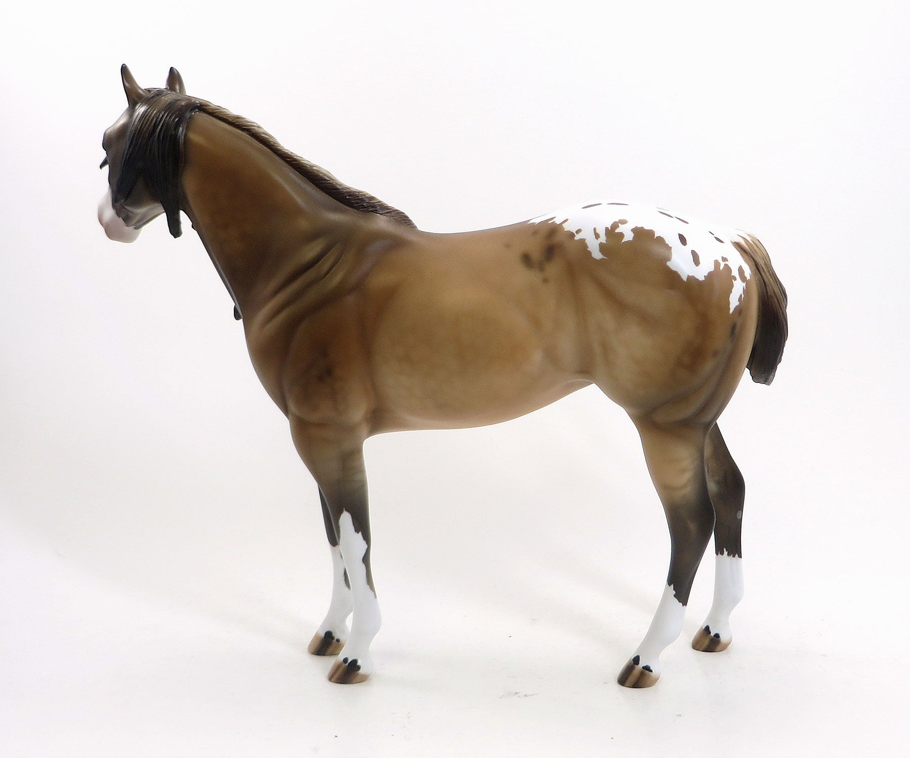 MARCELINE - OOAK Dappled Dun Blanket Appaloosa Mare  8/14