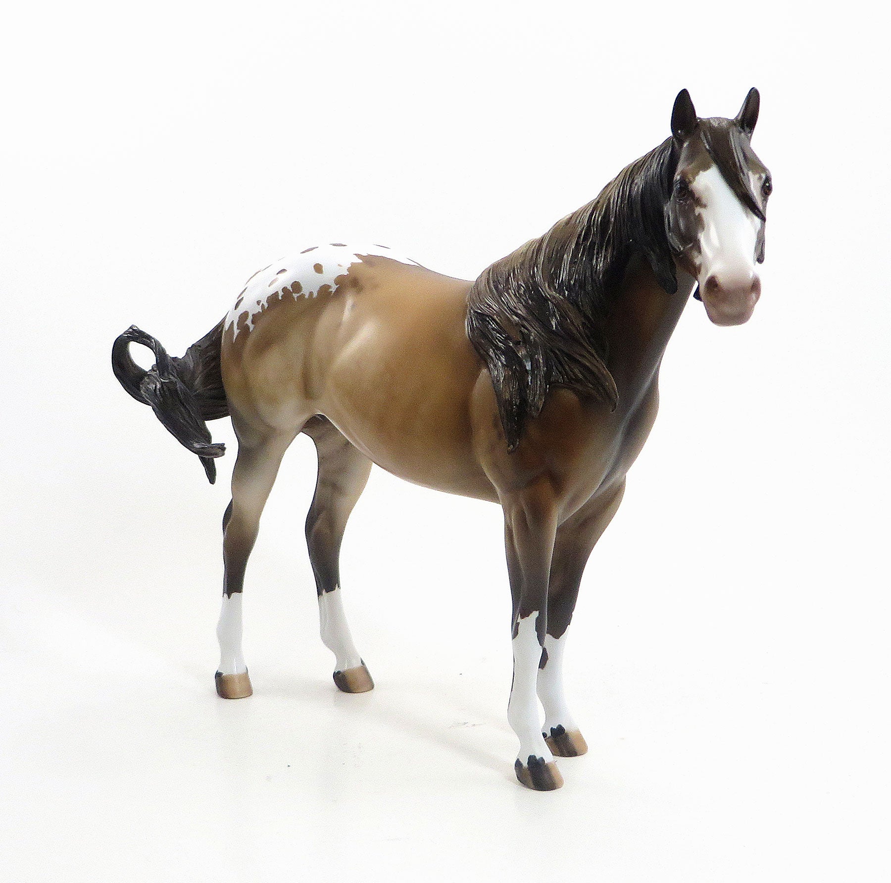 MARCELINE - OOAK Dappled Dun Blanket Appaloosa Mare  8/14