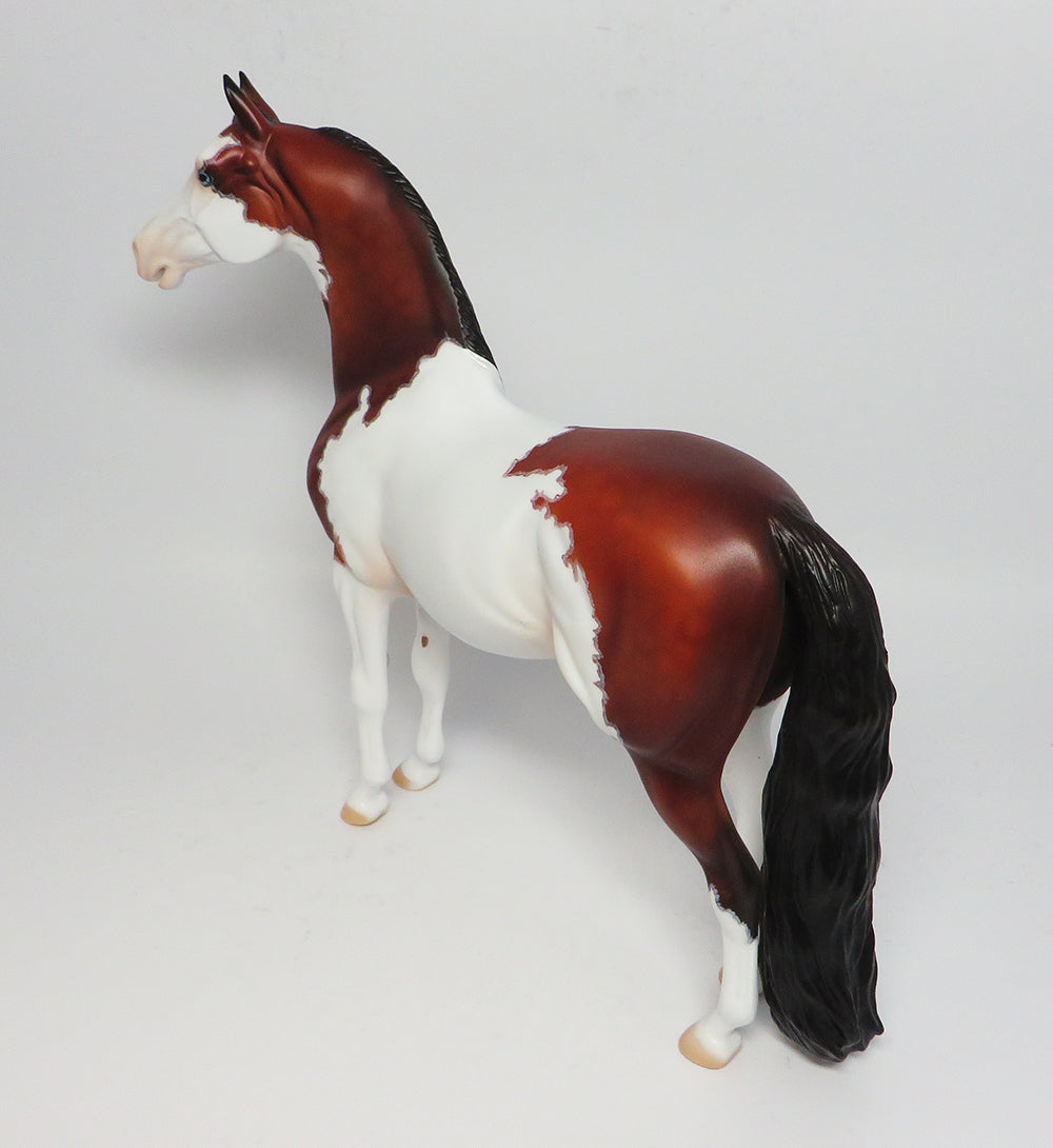 COWBOY BLU-OOAK DAPPLE BAY MAPPED MORGAN MODEL HORSE BY DAWN QUICK 4/6/17