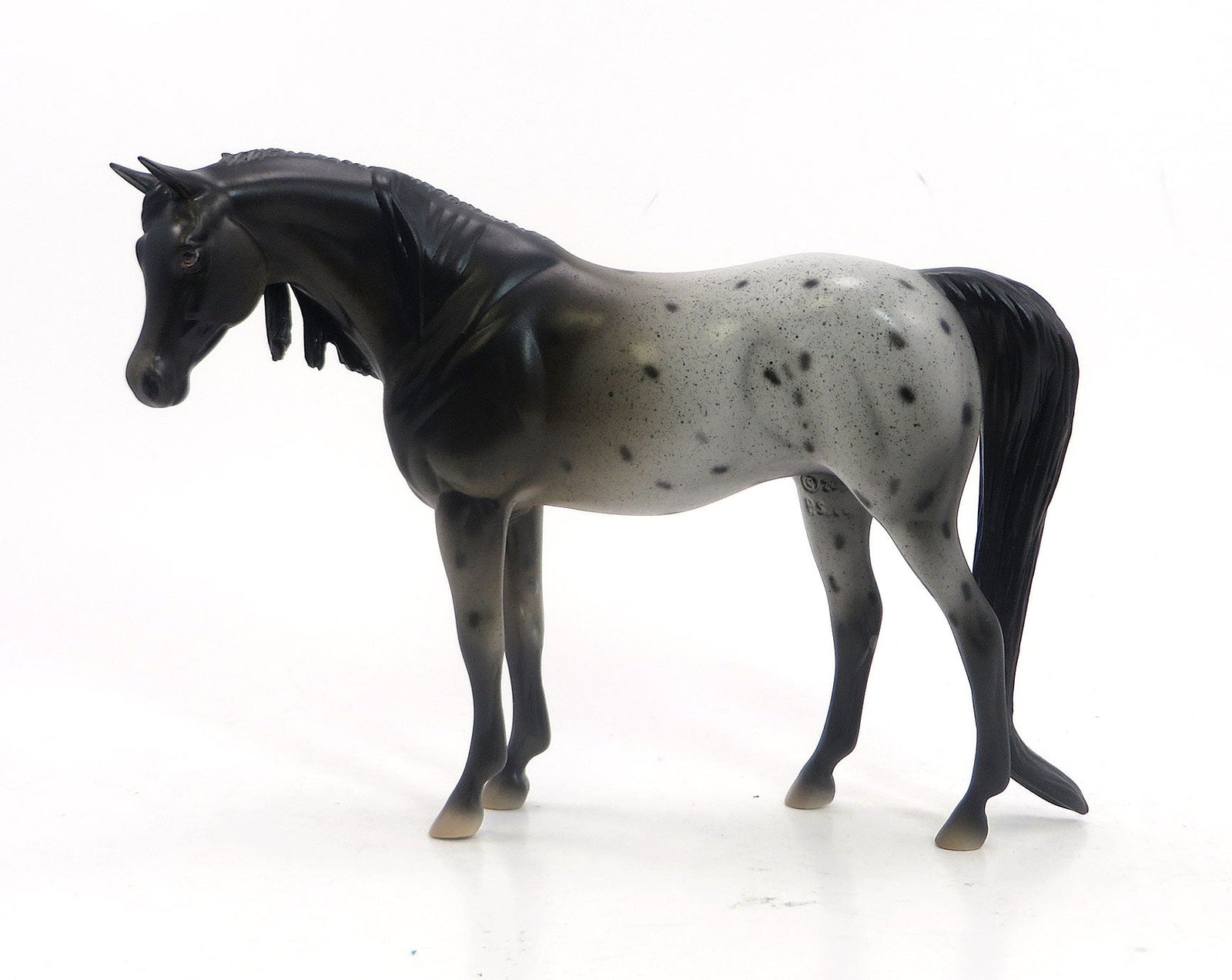 MUNSTER - OOAK Appaloosa Pebbles Arabian Model Horse - 5/15