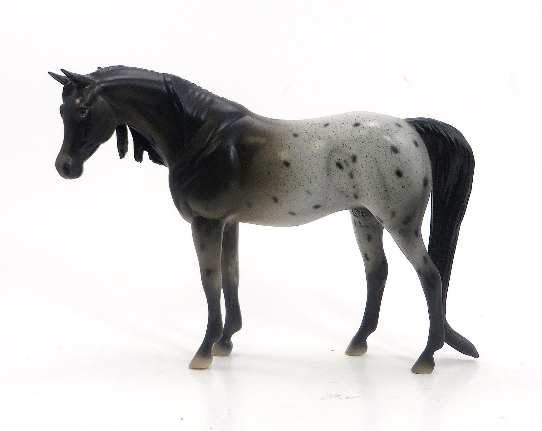 MUNSTER - OOAK Appaloosa Pebbles Arabian Model Horse - 5/15