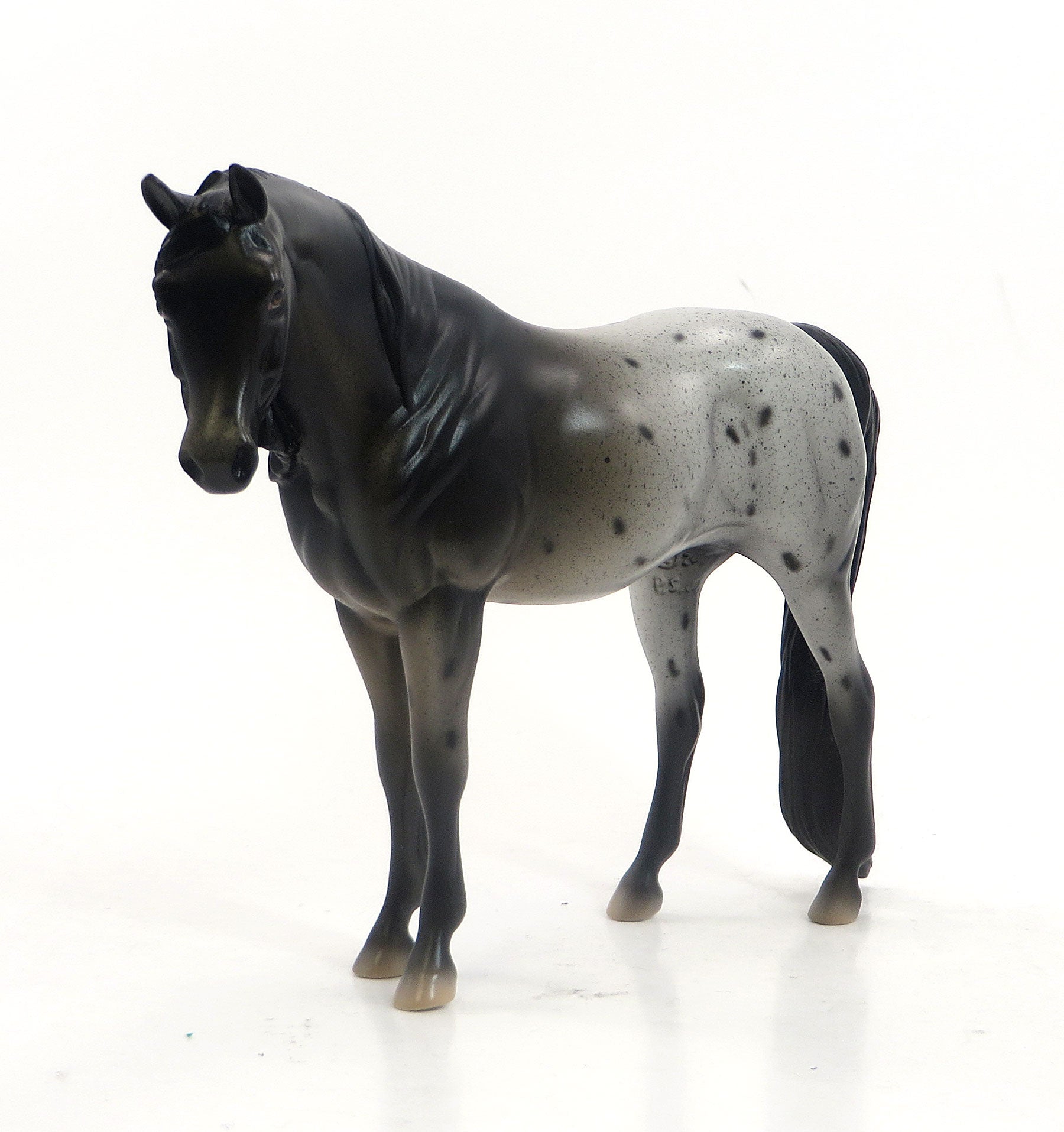 MUNSTER - OOAK Appaloosa Pebbles Arabian Model Horse - 5/15