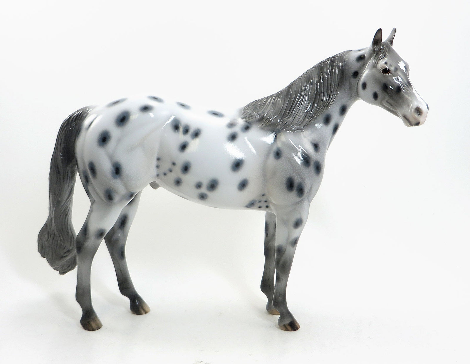 KEME THUNDER - Leopard Appaloosa Model Stock Horse - LE7 - 5/15