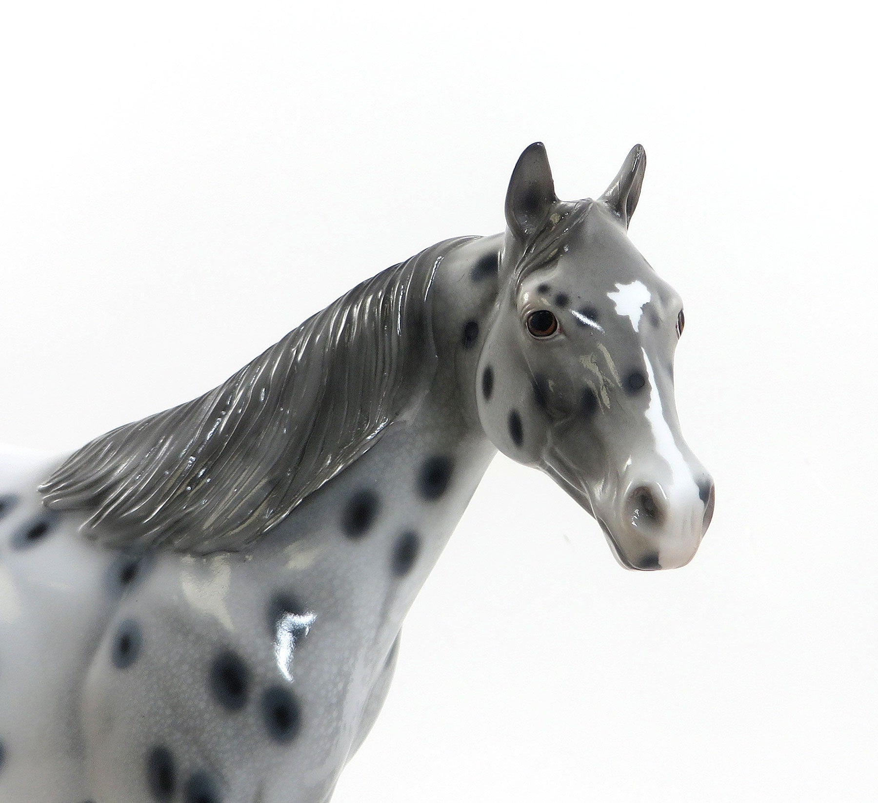 KEME THUNDER - Leopard Appaloosa Model Stock Horse - LE7 - 5/15