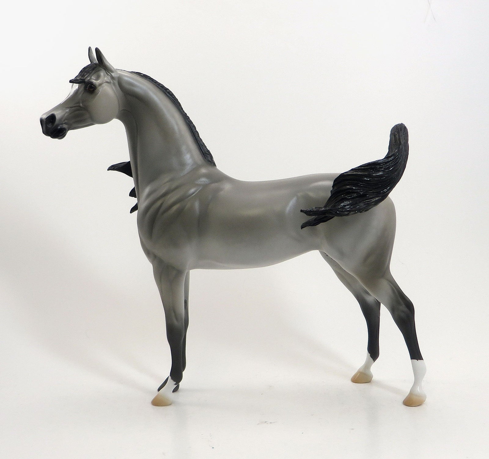 DORAL - OOAK Dapple Gray Arabian with Open Mouth 4/15