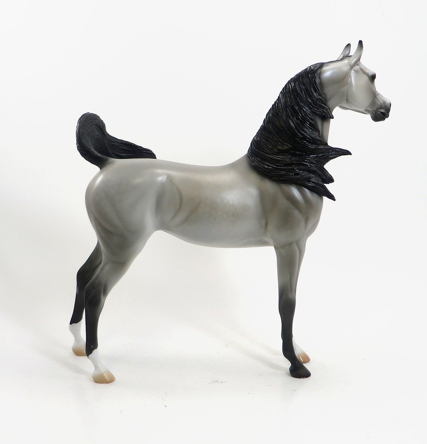 DORAL - OOAK Dapple Gray Arabian with Open Mouth 4/15