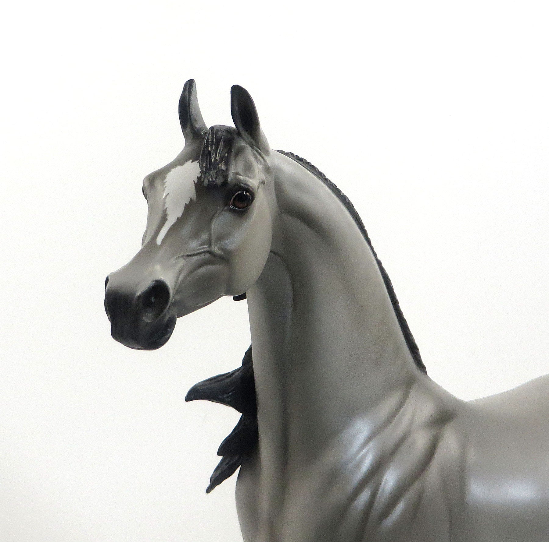 DORAL - OOAK Dapple Gray Arabian with Open Mouth 4/15