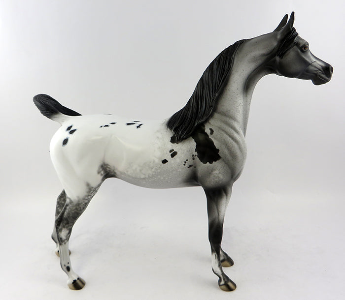 DRAIS-OOAK APPALOOSA ARABIAN MODEL HORSE 11/9/16