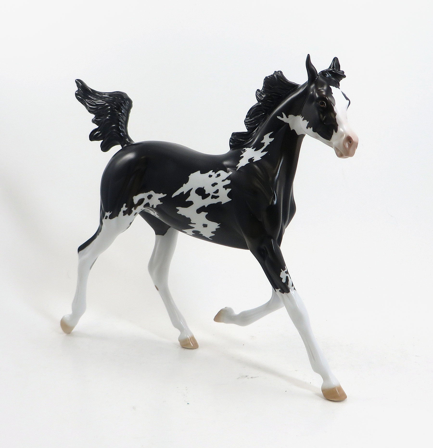 RAZZMATAZZ - LE 15 Black Sabino Pinto Yearling 5/15