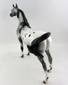 APPALOOSA