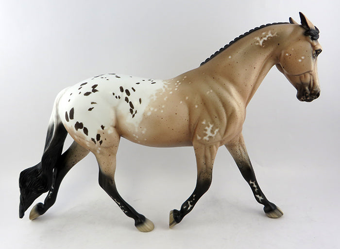 appaloosa