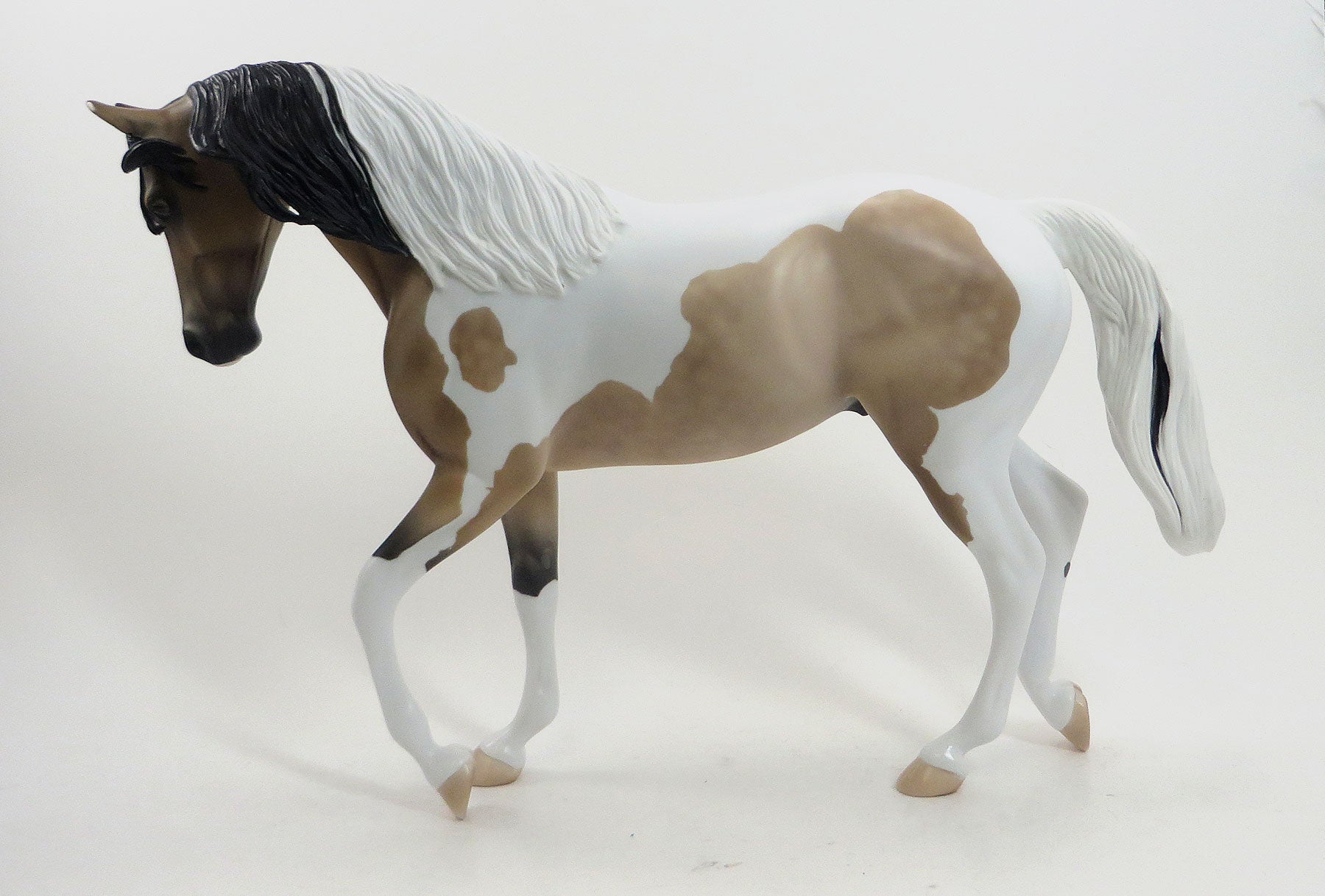 FIVE STAR - OOAK Dapple Buckskin Pinto TB by D&#39;Arry Jone Frank - 7/31