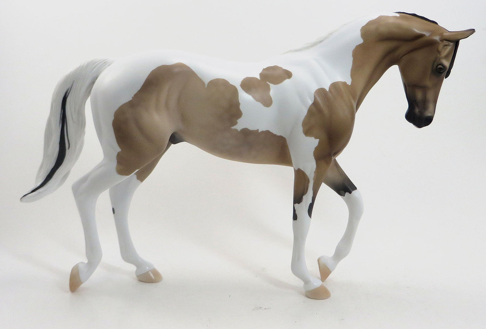 FIVE STAR - OOAK Dapple Buckskin Pinto TB by D'Arry Jone Frank - 7/31