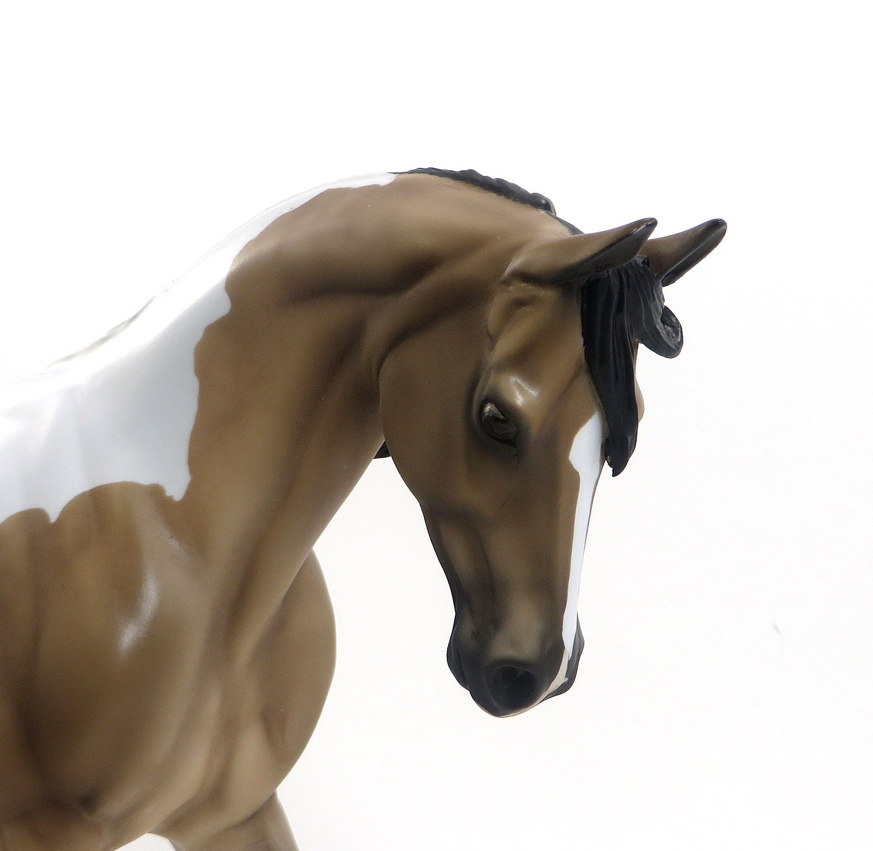 FIVE STAR - OOAK Dapple Buckskin Pinto TB by D&#39;Arry Jone Frank - 7/31