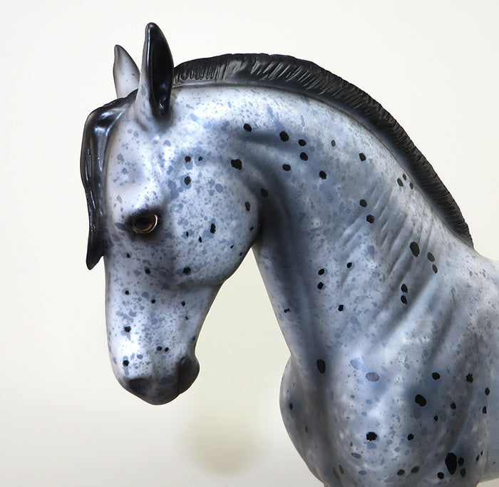 one of kind andalusian