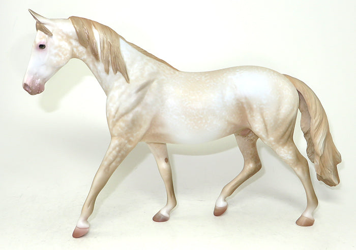 strudel western pony