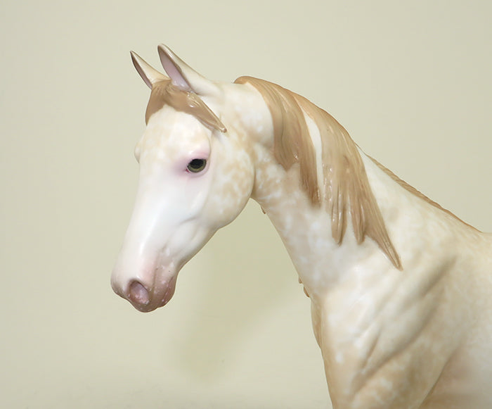 STRUDEL-OOAK CHAMPAGNE WESTERN PONY MODEL HORSE 5/20