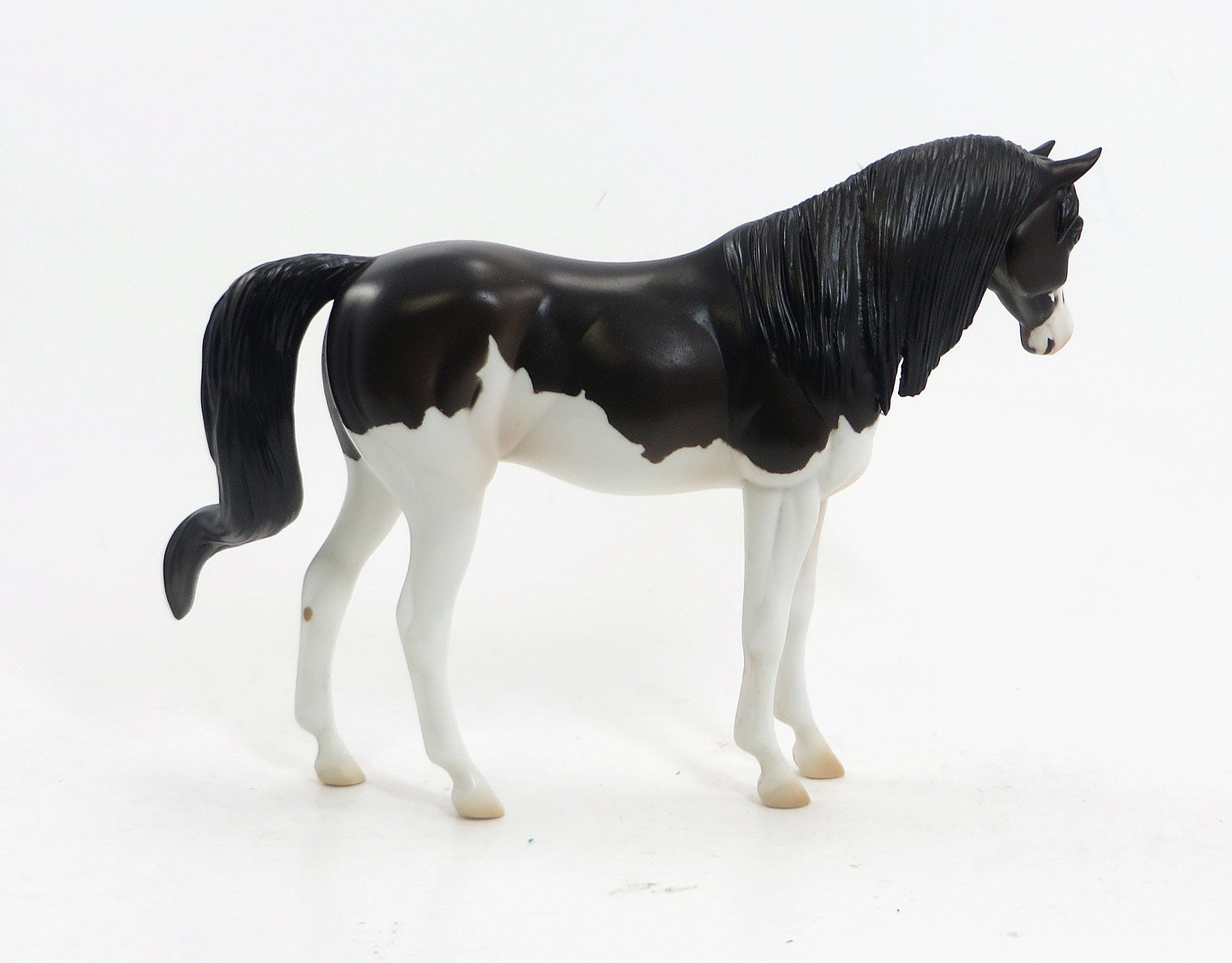 MISSISSIPPI QUEEN - Dark Bay Pebbles Arabian LE3