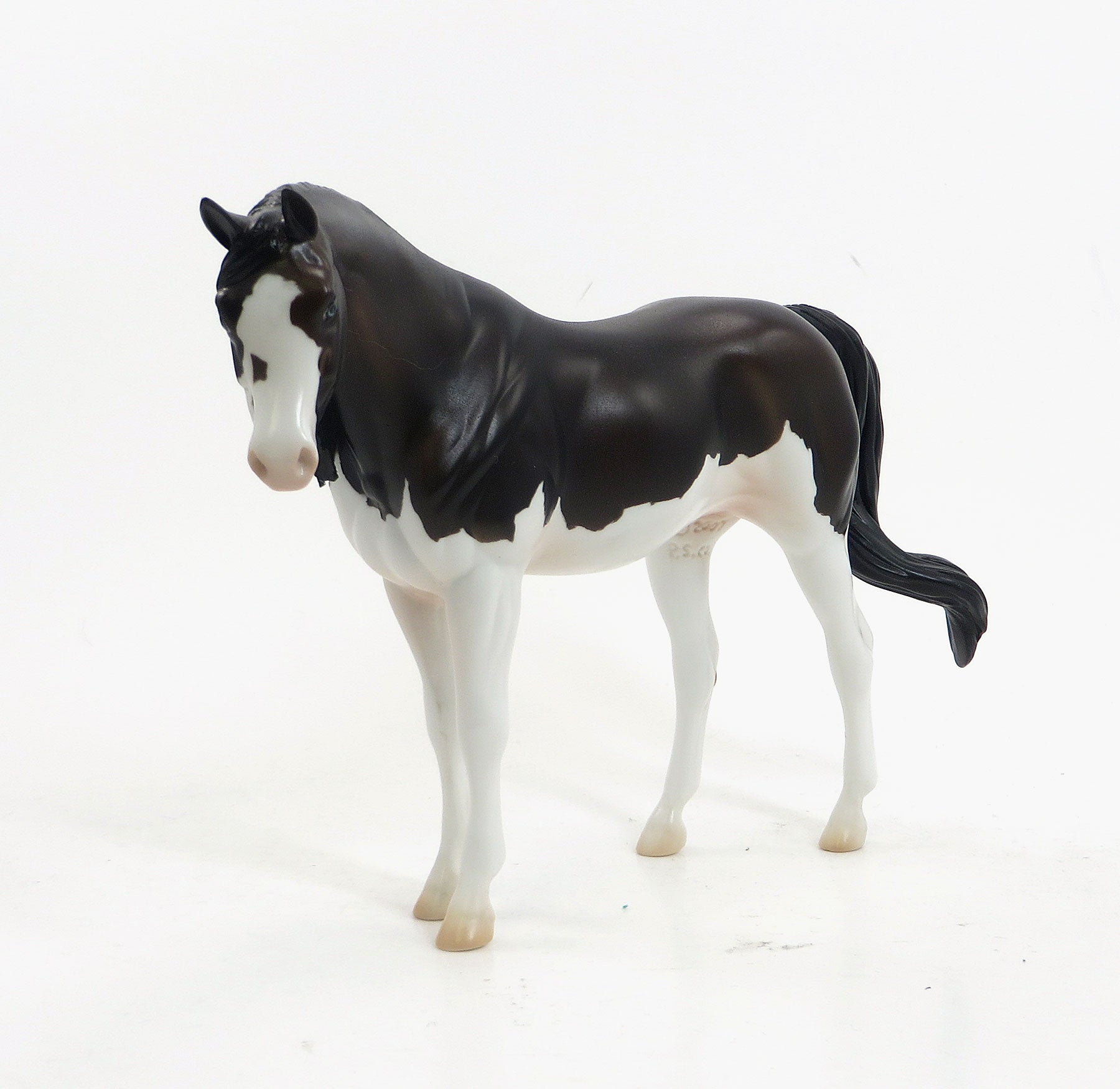 MISSISSIPPI QUEEN - Dark Bay Pebbles Arabian LE3