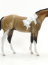 MEAN TWEET - OOAK Buckskin Tobiano Weanling by D'Array Jone Frank - 5/15