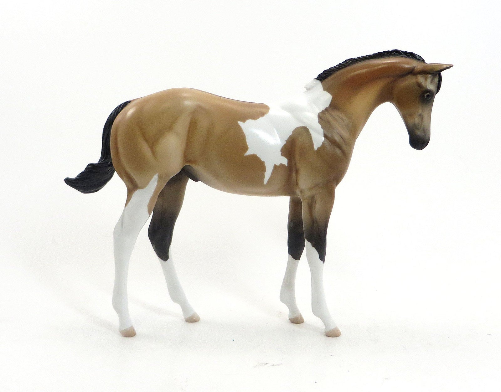 MEAN TWEET - OOAK Buckskin Tobiano Weanling by D'Array Jone Frank - 5/15