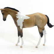 MEAN TWEET - OOAK Buckskin Tobiano Weanling by D'Array Jone Frank - 5/15