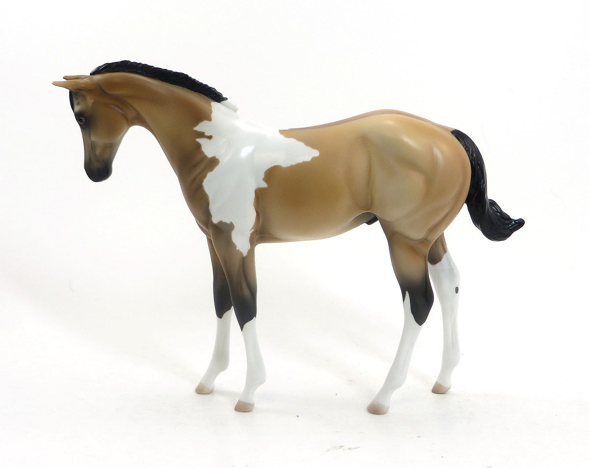 MEAN TWEET - OOAK Buckskin Tobiano Weanling by D'Array Jone Frank - 5/15