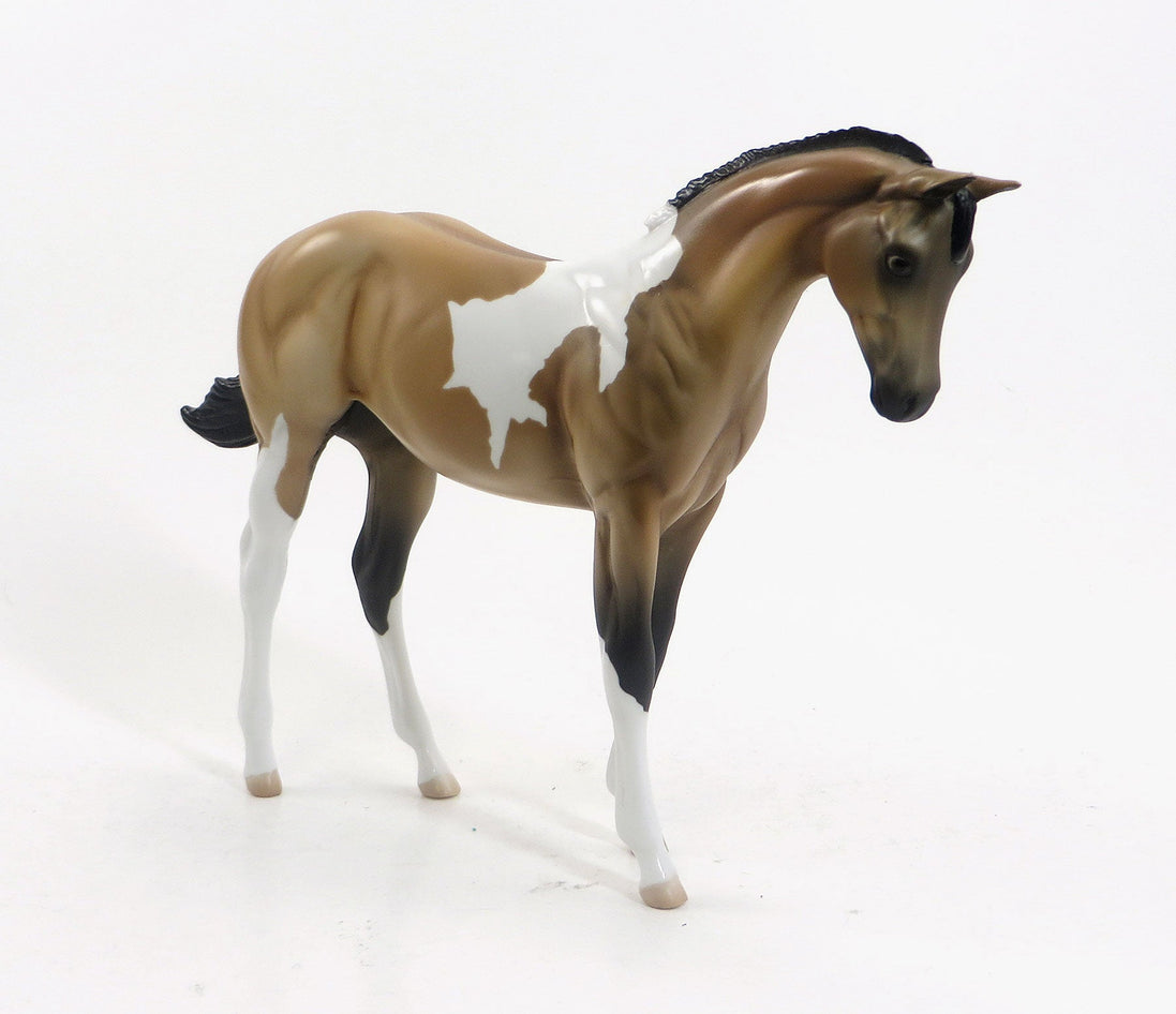 MEAN TWEET - OOAK Buckskin Tobiano Weanling by D'Array Jone Frank - 5/15