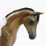 MEAN TWEET - OOAK Buckskin Tobiano Weanling by D'Array Jone Frank - 5/15