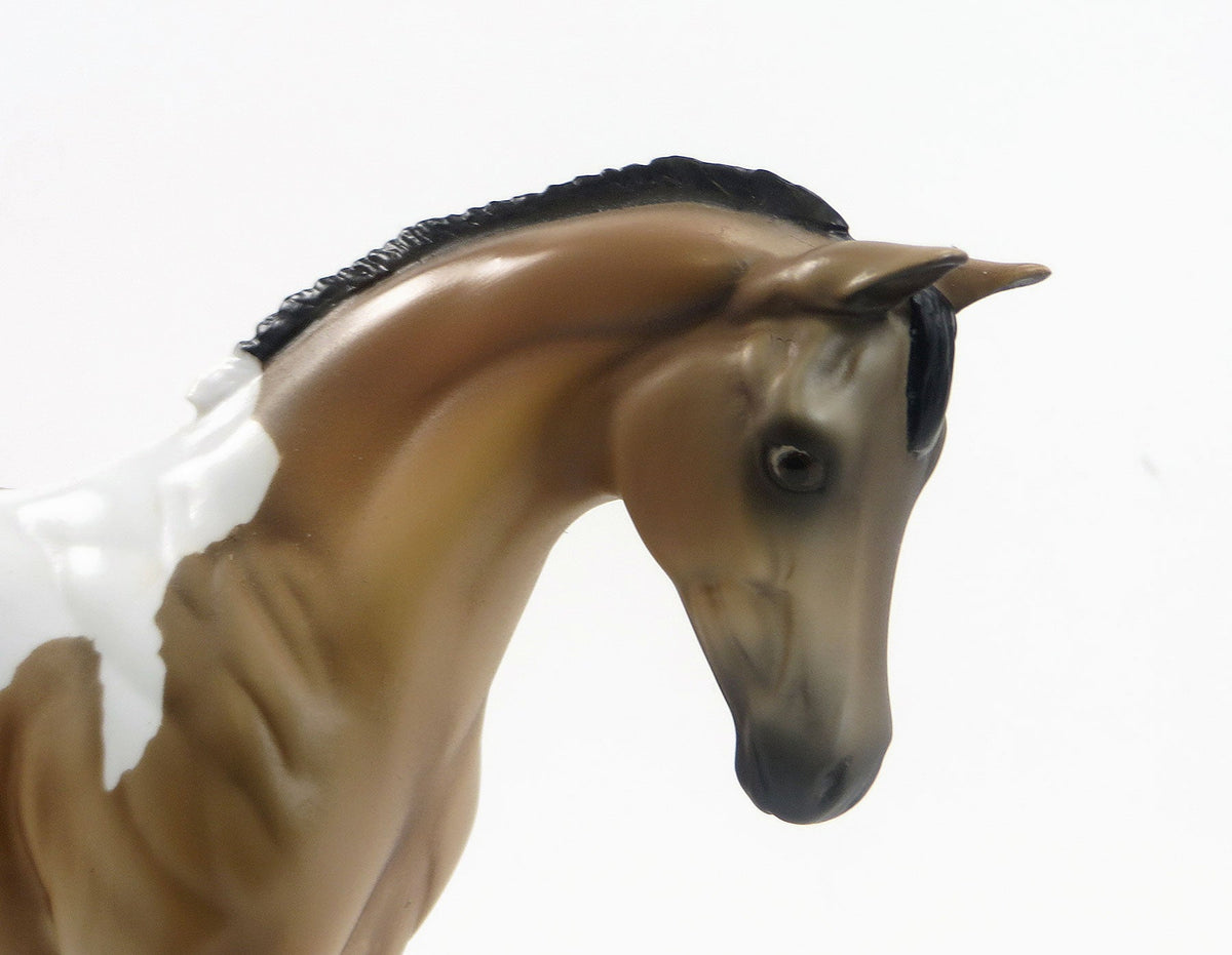 MEAN TWEET - OOAK Buckskin Tobiano Weanling by D'Array Jone Frank - 5/15