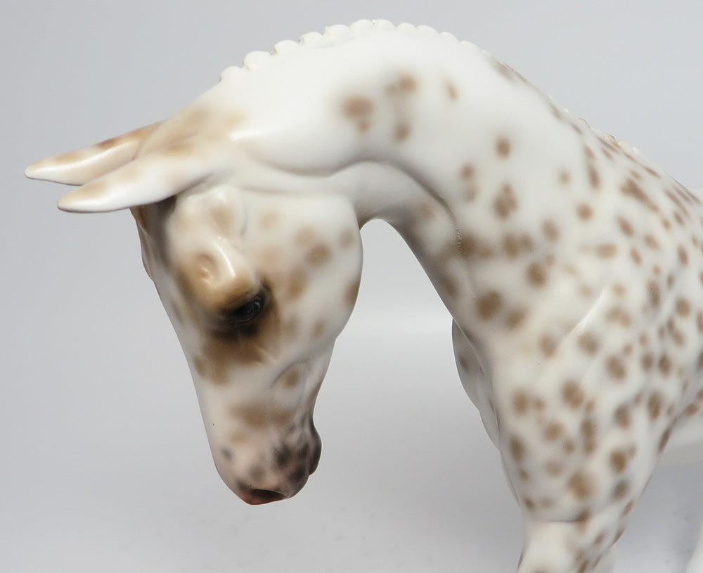 APPALOOSA