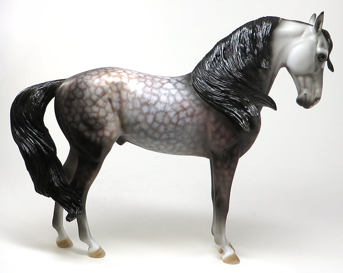 NIRVANA-OOAK ROSE GREY STAR DAPPLE ANDALUSIAN MODEL HORSE 5/20