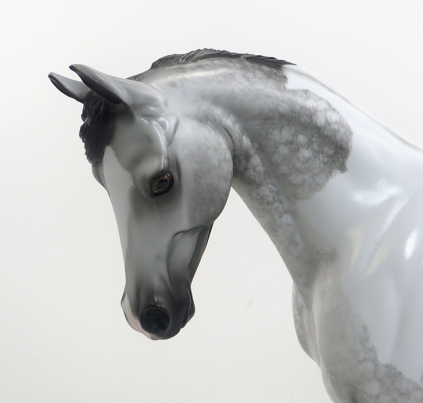 SILVER HAWK - OOAK Gray Dapple Pinto Thoroughbred by Sheryl Leisure - 5/15